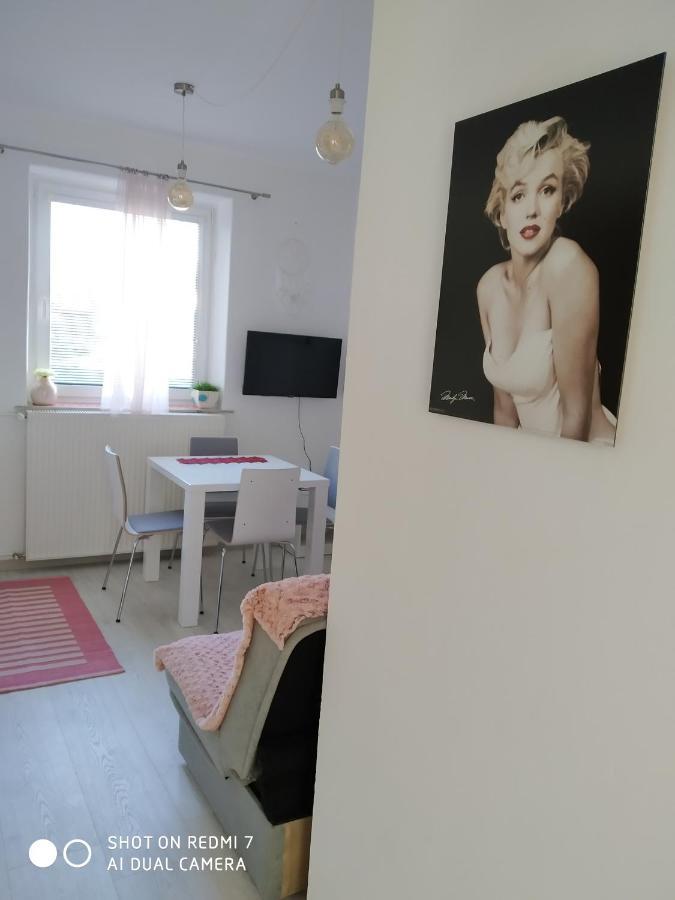 Apartma Jerman - Cerknica Buitenkant foto