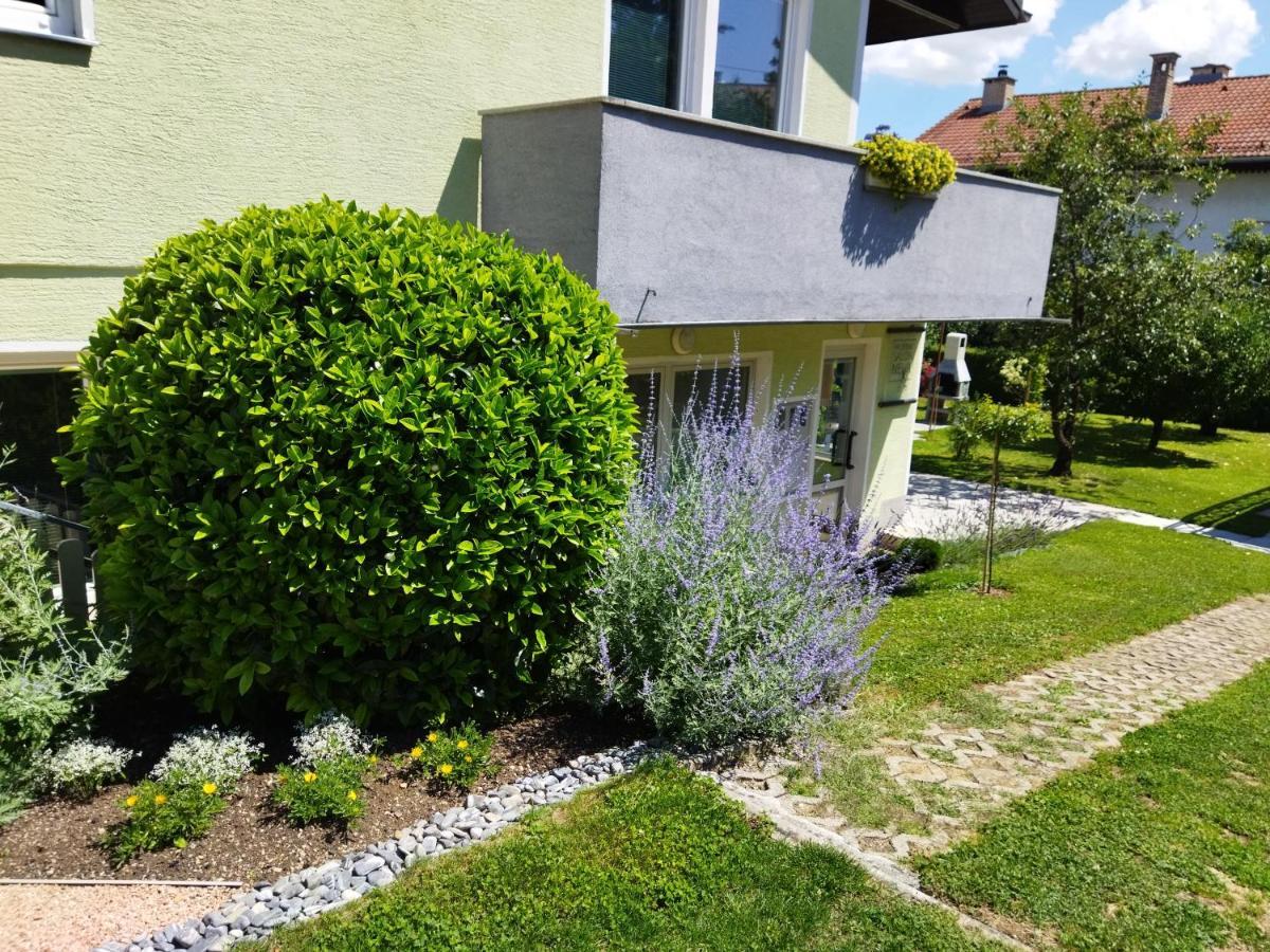 Apartma Jerman - Cerknica Buitenkant foto